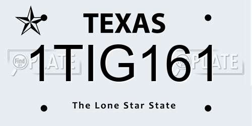 1TIG161 Texas License Plate