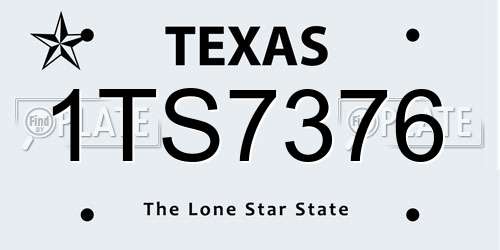 1TS7376 Texas License Plate