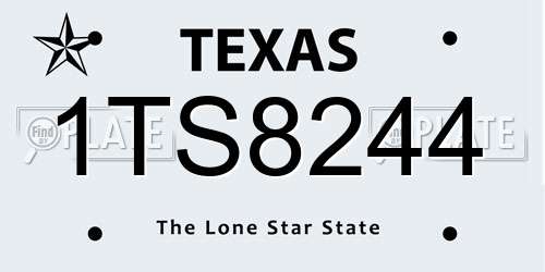1TS8244 Texas License Plate