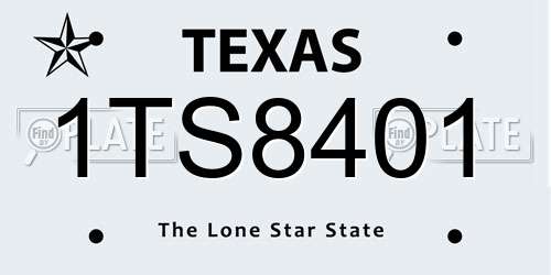 1TS8401 Texas License Plate