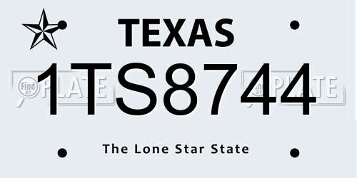 1TS8744 Texas License Plate