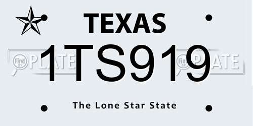 1TS919 Texas License Plate