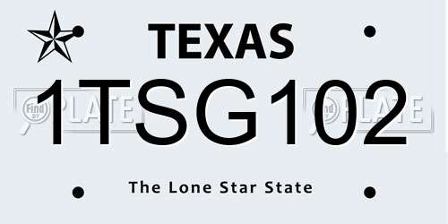 1TSG102 Texas License Plate