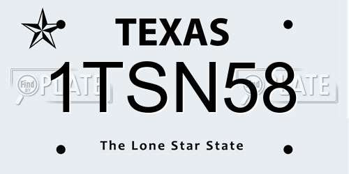 1TSN58 Texas License Plate
