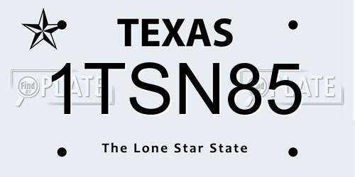 1TSN85 Texas License Plate