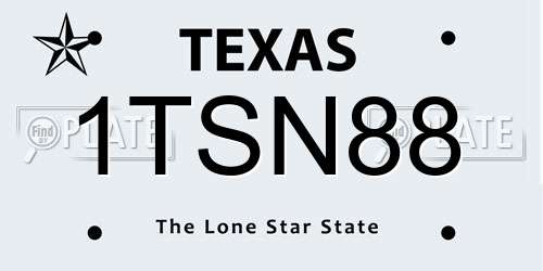 1TSN88 Texas License Plate