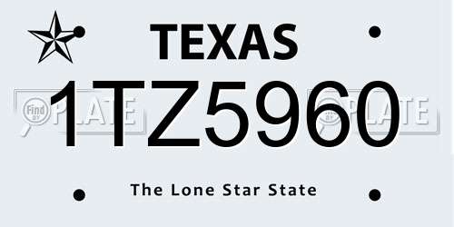 1TZ5960 Texas License Plate