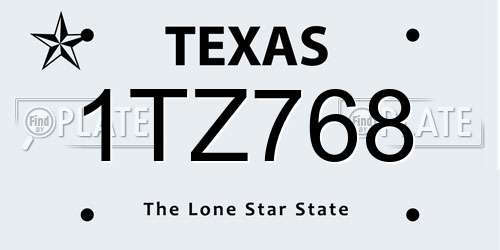 1TZ768 Texas License Plate