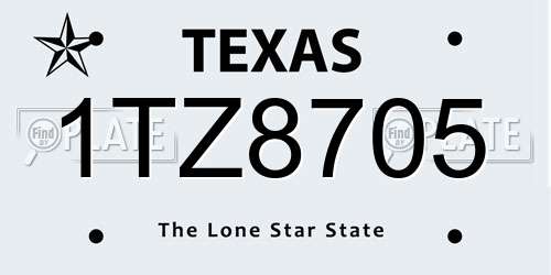 1TZ8705 Texas License Plate