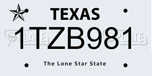 1TZB981 Texas License Plate