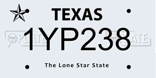 1YP238 Texas License Plate