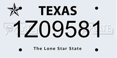 1Z09581 Texas License Plate