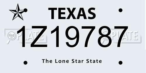 1Z19787 Texas License Plate