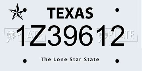 1Z39612 Texas License Plate