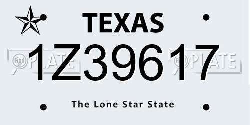 1Z39617 Texas License Plate
