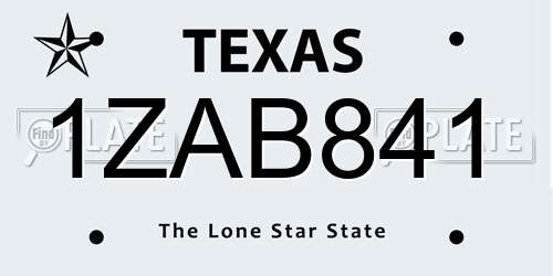 1ZAB841 Texas License Plate