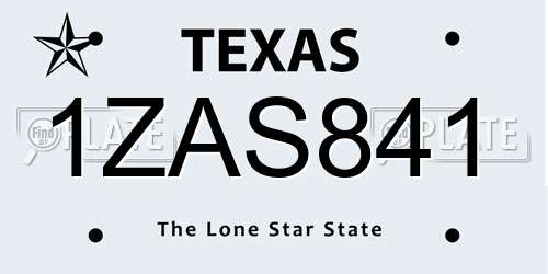 1ZAS841 Texas License Plate