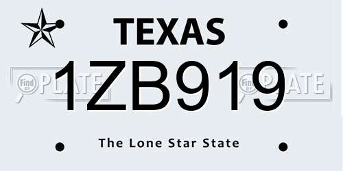 1ZB919 Texas License Plate