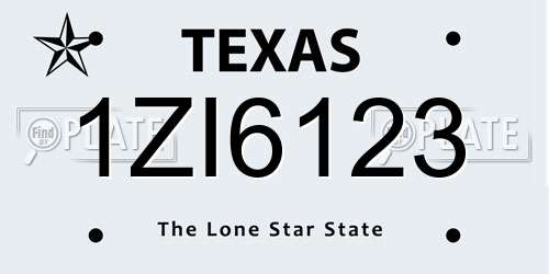 1ZI6123 Texas License Plate