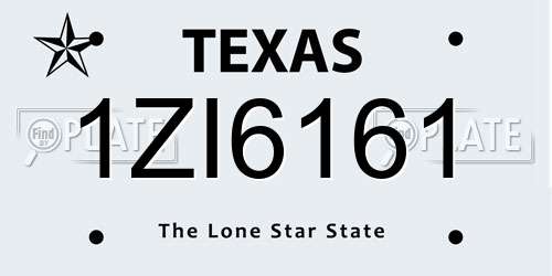 1ZI6161 Texas License Plate