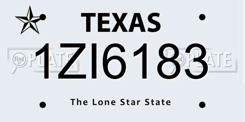 1ZI6183 Texas License Plate