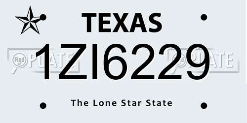 1ZI6229 Texas License Plate
