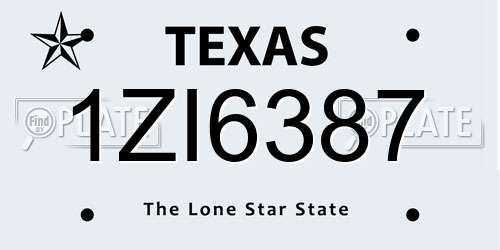 1ZI6387 Texas License Plate