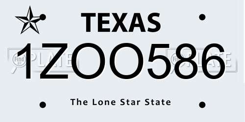 1ZOO586 Texas License Plate