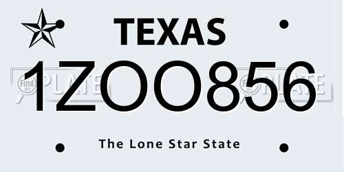 1ZOO856 Texas License Plate