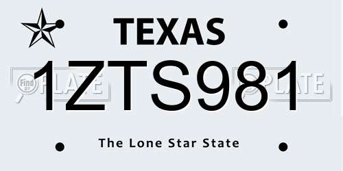 1ZTS981 Texas License Plate