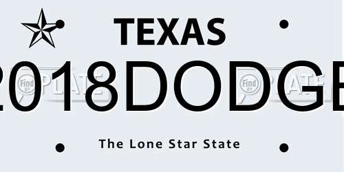 2018DODGE Texas License Plate