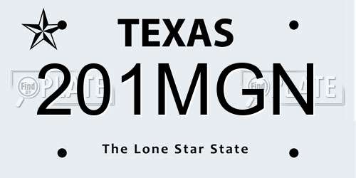 201MGN Texas License Plate