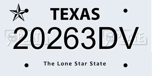 20263DV Texas License Plate