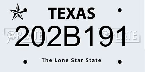 202B191 Texas License Plate
