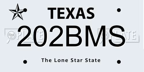 202BMS Texas License Plate