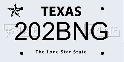202BNG Texas License Plate