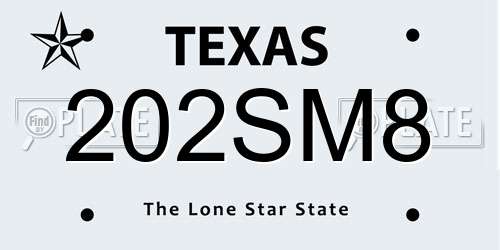 202SM8 Texas License Plate