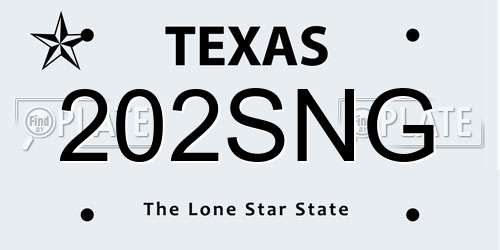 202SNG Texas License Plate