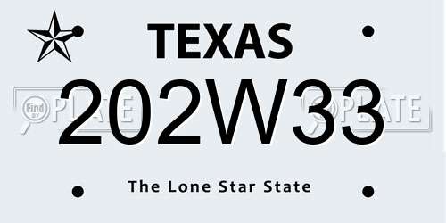202W33 Texas License Plate