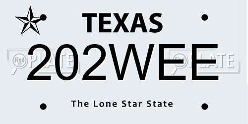 202WEE Texas License Plate