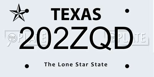 202ZQD Texas License Plate