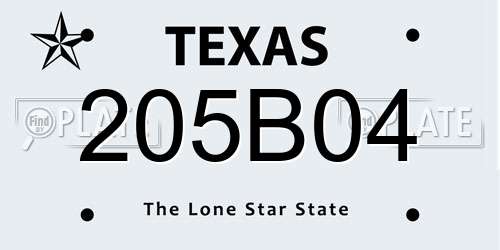 205B04 Texas License Plate