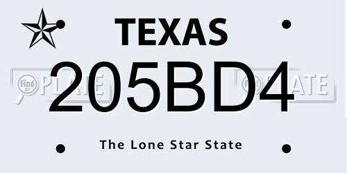 205BD4 Texas License Plate