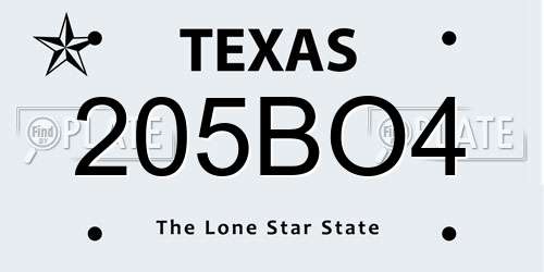 205BO4 Texas License Plate
