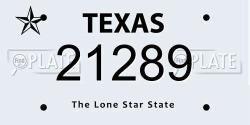 21289 Texas License Plate