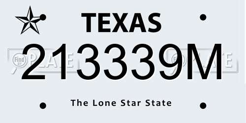 213339M Texas License Plate