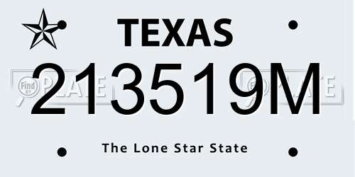 213519M Texas License Plate