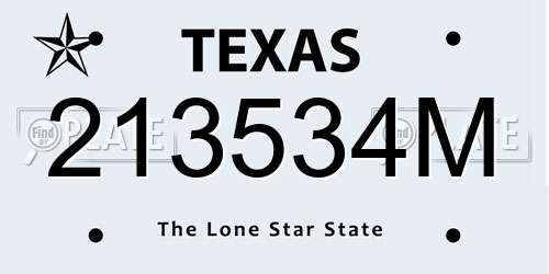 213534M Texas License Plate