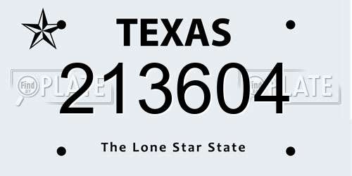 213604 Texas License Plate