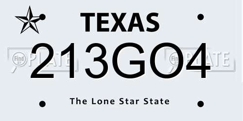 213GO4 Texas License Plate